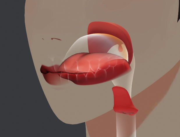 SpeechCode Unity model three-quarter view